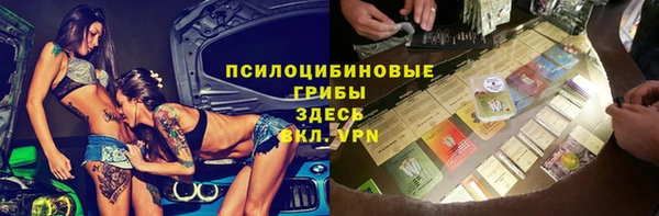 твердый Алзамай