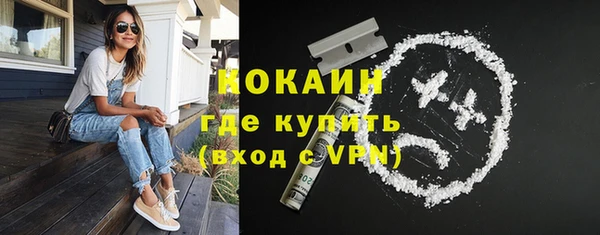 ешки Арсеньев