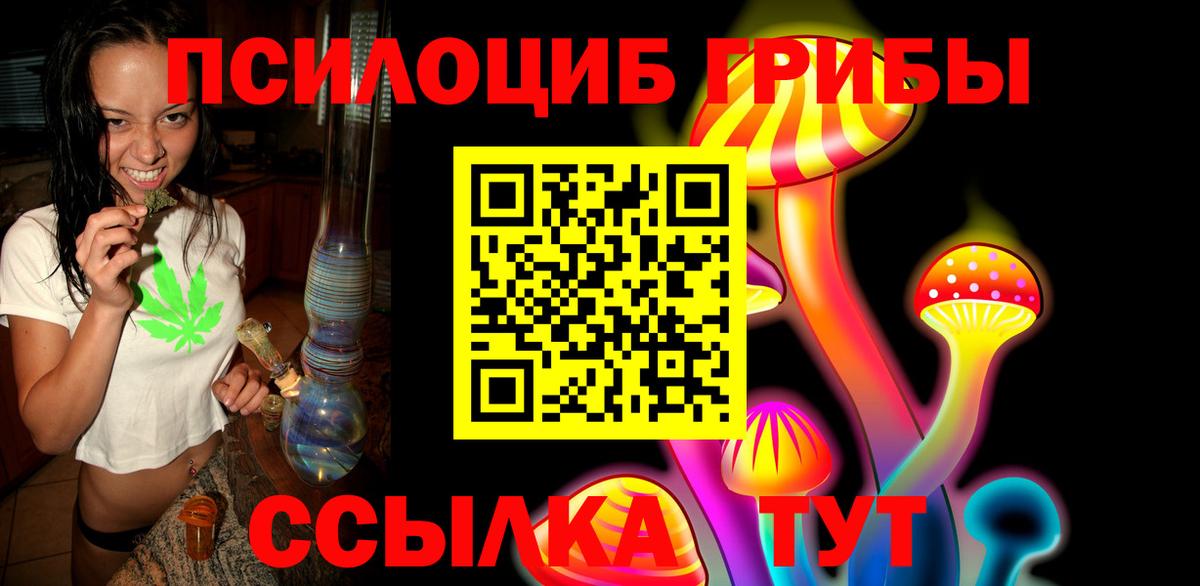 Псилоцибиновые грибы прущие грибы Сургут